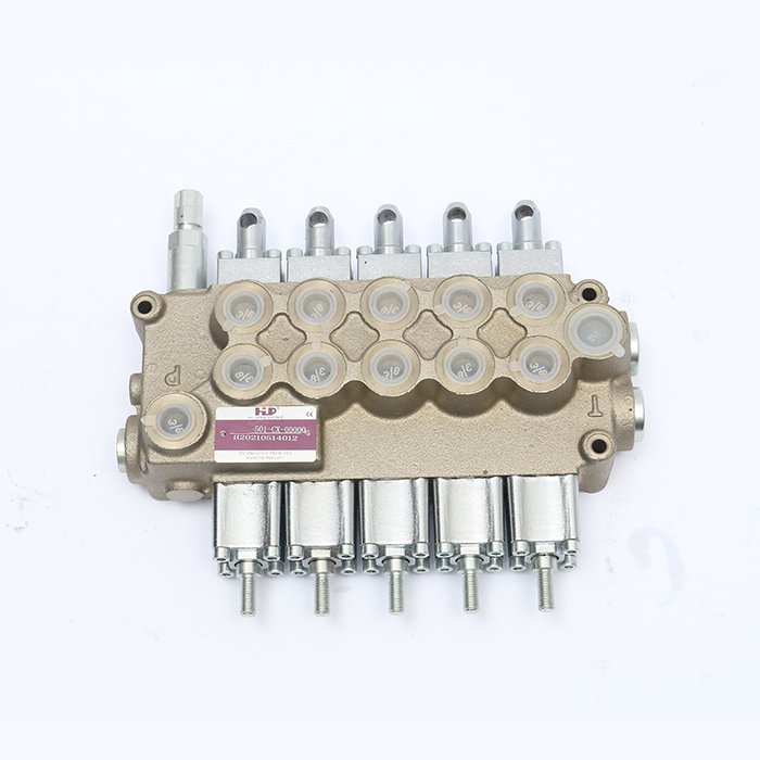 Custom hydraulic solenoid dcv valve dcv control valve pneumatic dcv manifolds valve