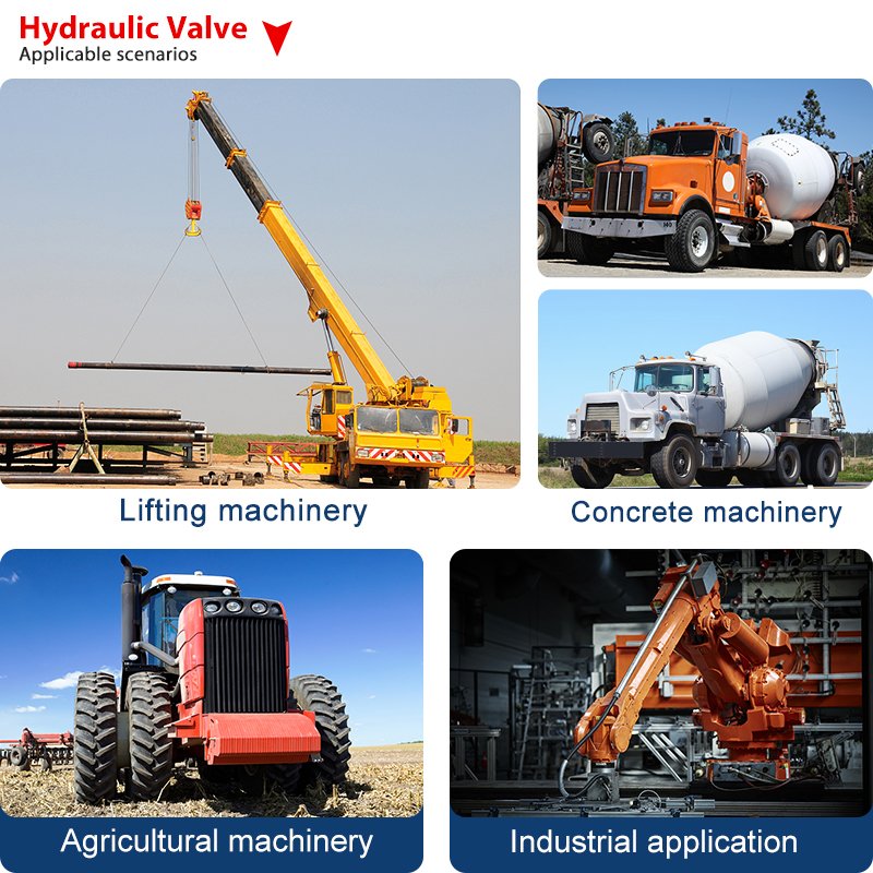 Customized Services AC Plug-in Connect 4WE6 Hydraulic Solenoid Directional Valves With Rexroth