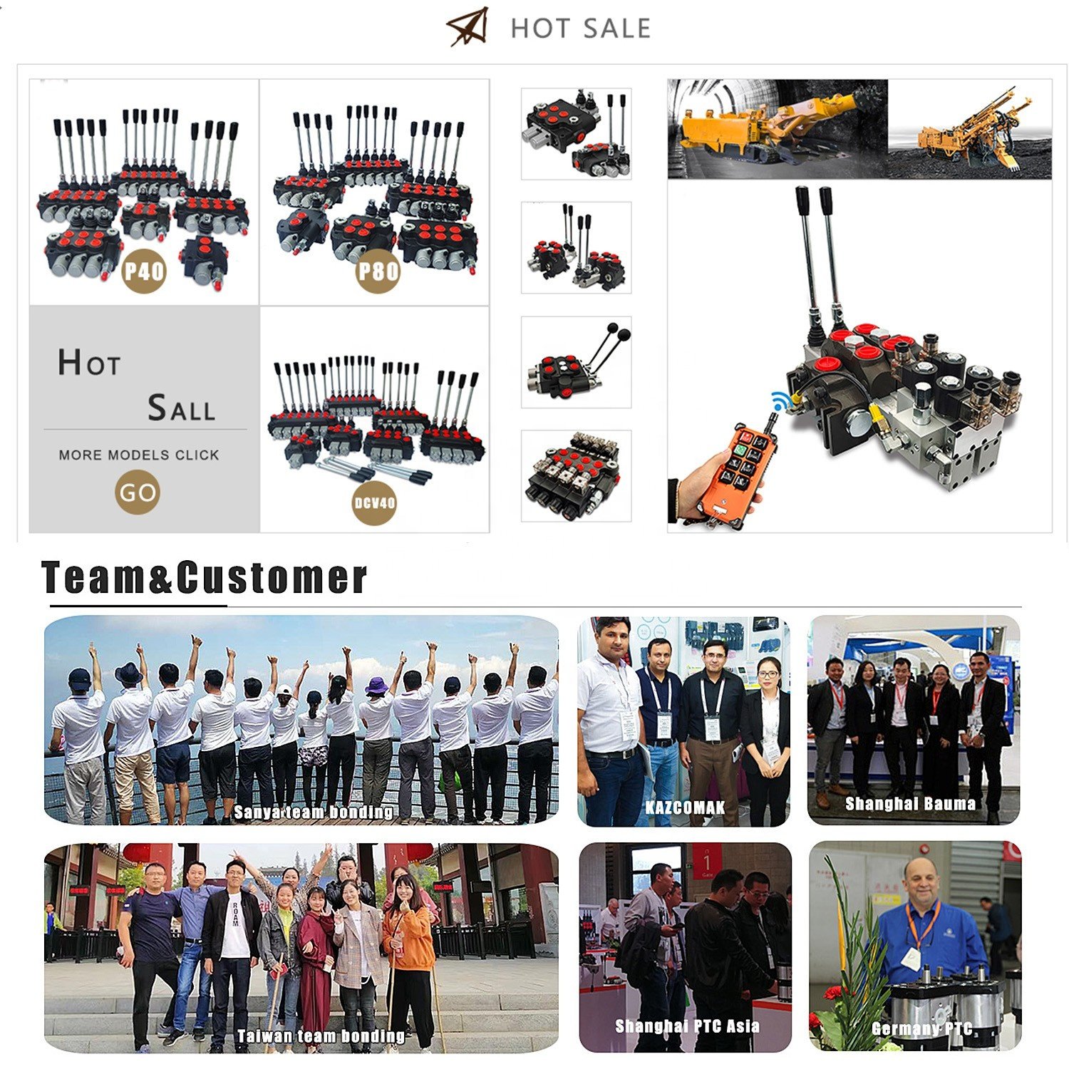 Hy-waloil DCV60 Series Customized 3 Spool Sectional Electro-Hydraulic Control Hydraulic Valves