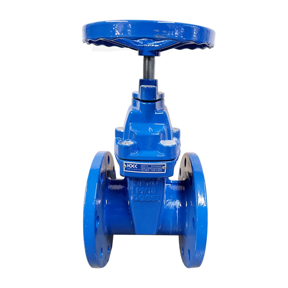 BS5163 DIN3202 3352 F4/F5 SABS663 Ks JIS5K 10K OS&Y Nrs Ductile Cast Iron Resilient Rubber Seat Flange Gate Valve