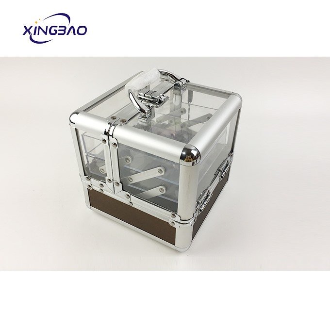Travel 2 Trays Acrylic Small Clear See Through Cosmetic Organizer Box Transparent Makeup Train Case aluminum