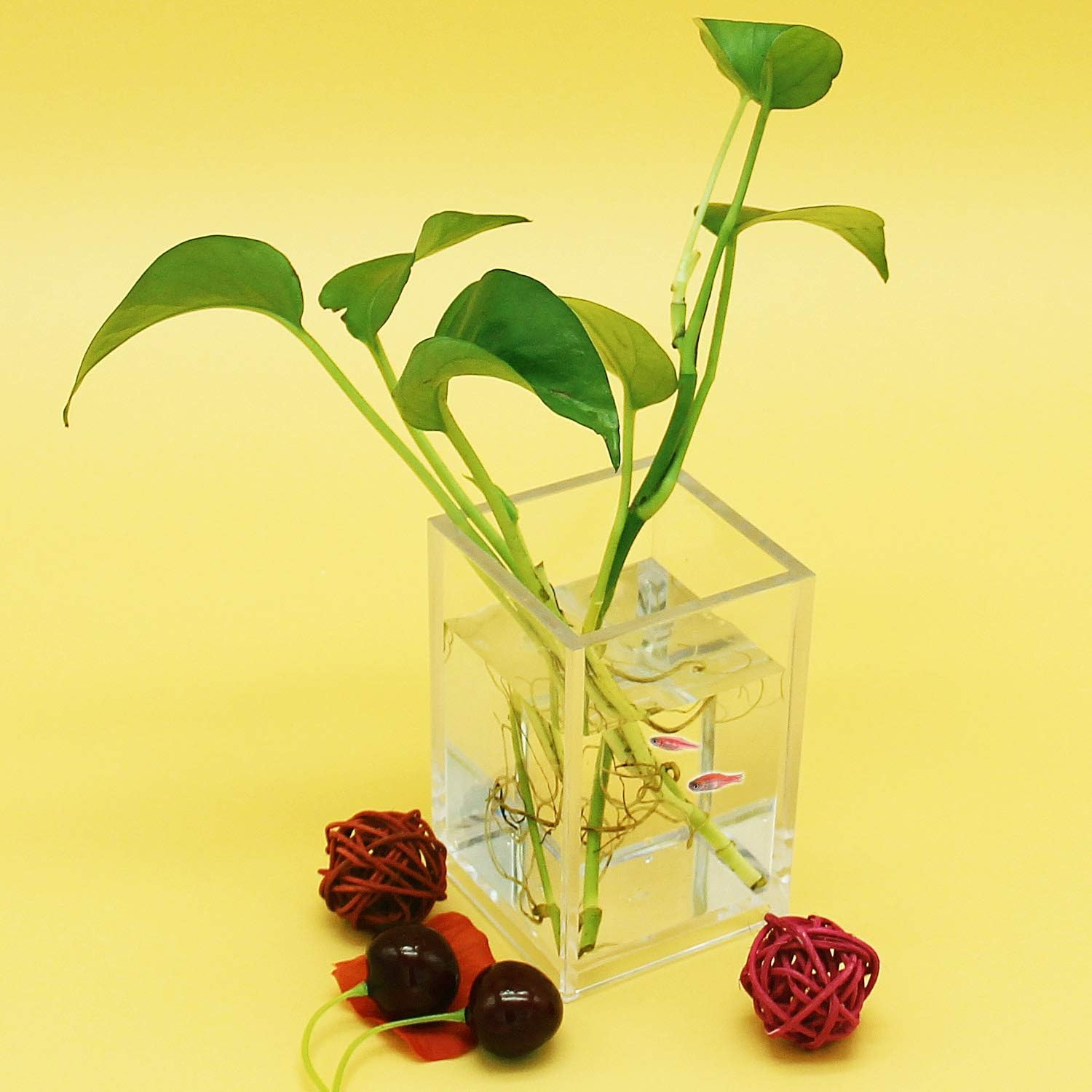 Factory Custom Clear Acrylic Clear 2 Pack Acrylic Pencil Pen Holder Cup Makeup Brush Storage Organizer
