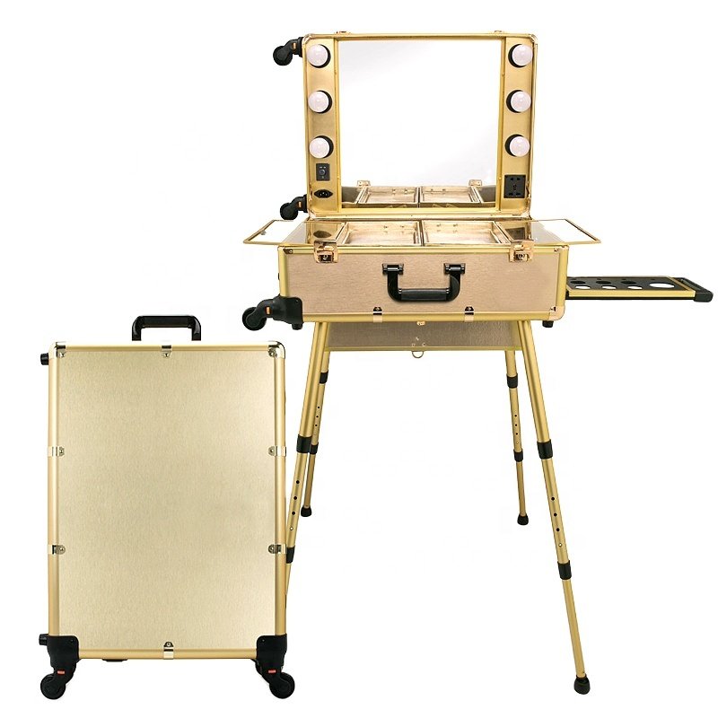 Rolling Makeup Trolley Case with LED lights and Mirror Professional for Makeup Artists
