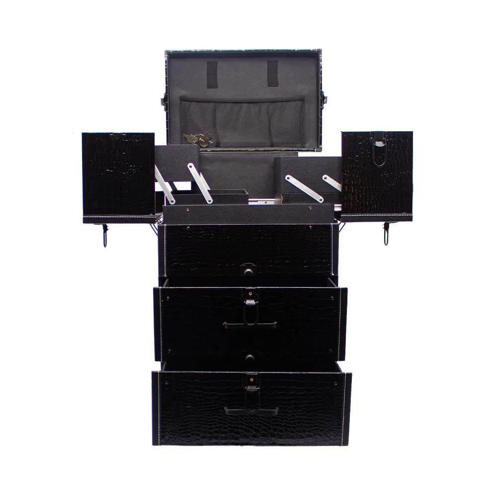 DreamCase Popular Design Fama Travel Train Plush And Nail Salon Organizers Trolley Makeup Kit