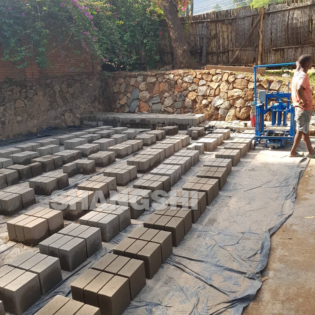 Ecological Profitable Siporex Brick Price Small Cheap Block Making Machines For Home Business Maquina Bloquera Ponedor