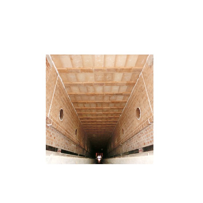 Brick Making Machinery Tunnel Kiln with high capacity from Brictec