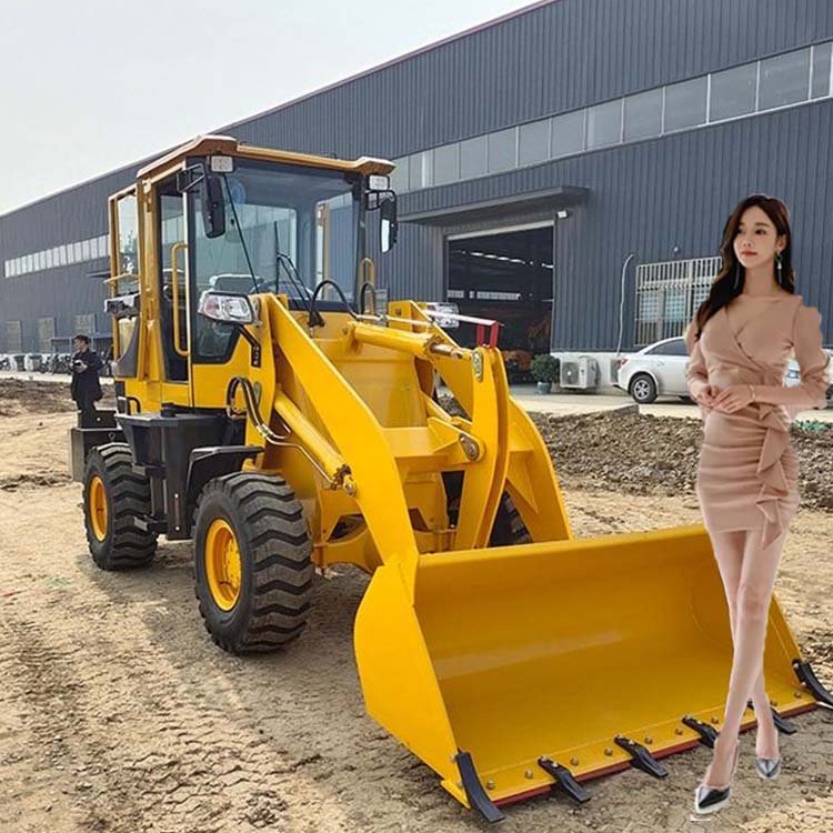 Cheap mini small backhoe electric loader with price for sale in for USA Used Loader
