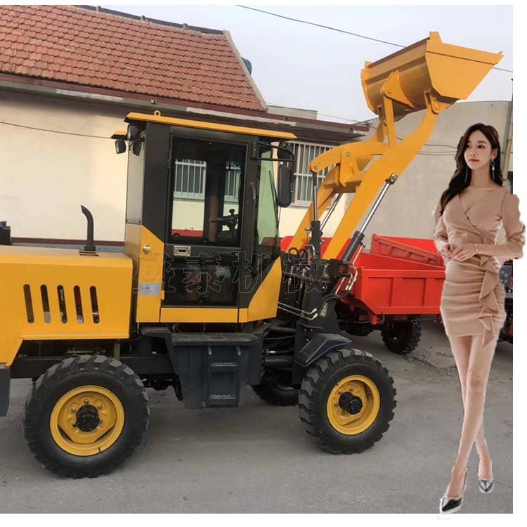 Cheap mini small backhoe electric loader with price for sale in for USA Used Loader