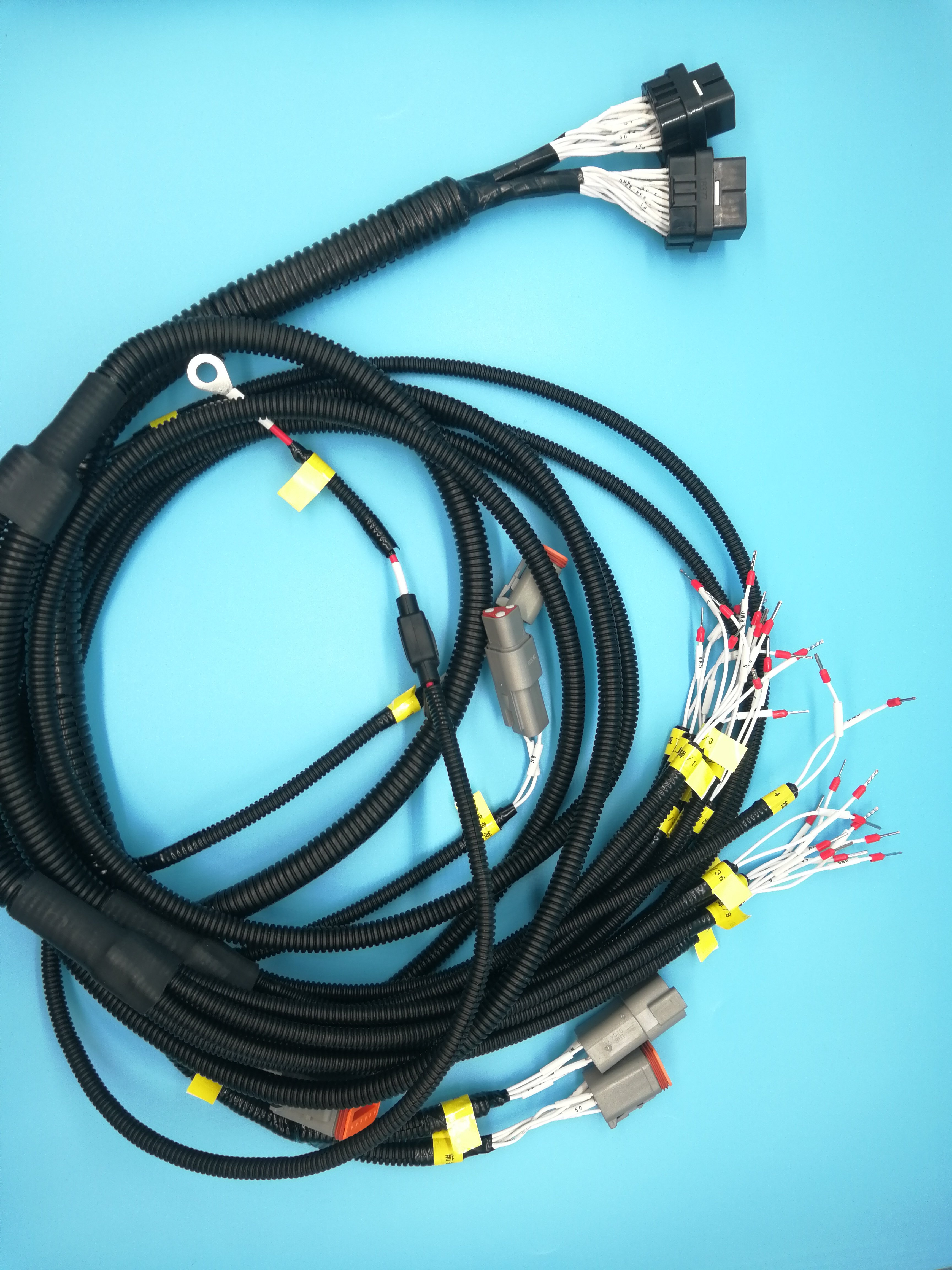 New Energy Auto Wire Harness Electronic and Connectors Cable Assembly