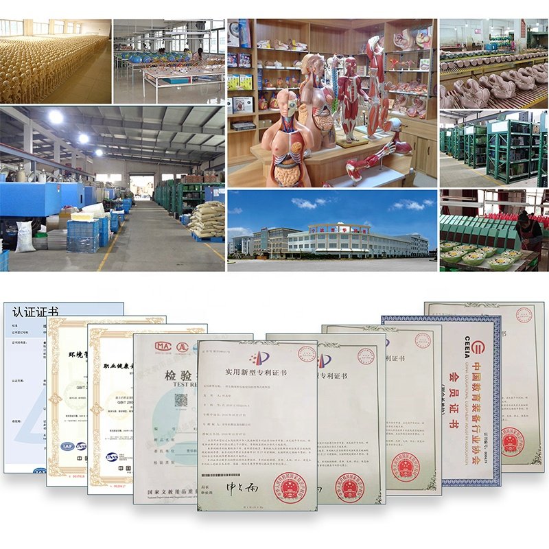 Universal Indicator Paper ph test paper strips ph meter