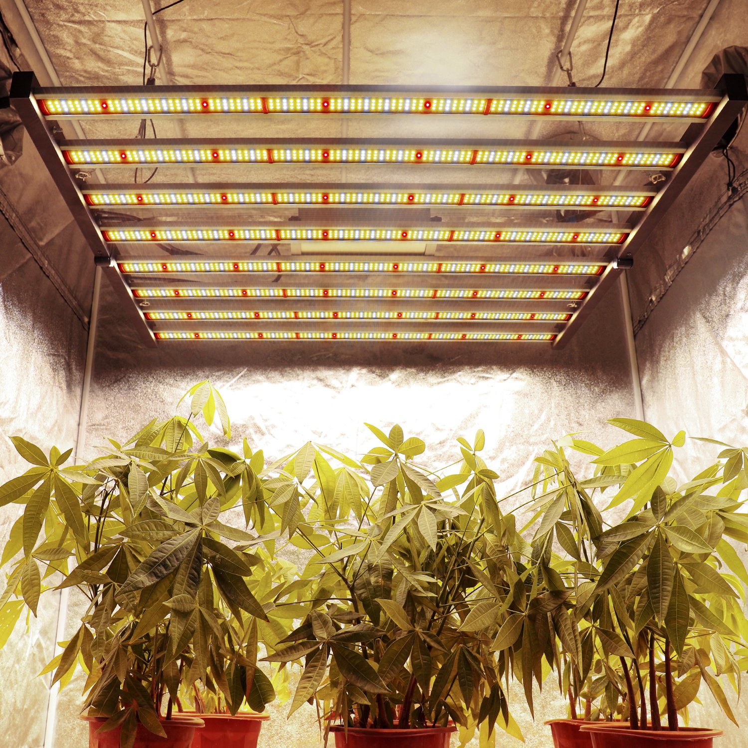 Phlizon Best Commercial Light 640w Led Grow Light Samsung lm281B lm561C lm301B US stock 8 Bar Foldable Led Grow Lights