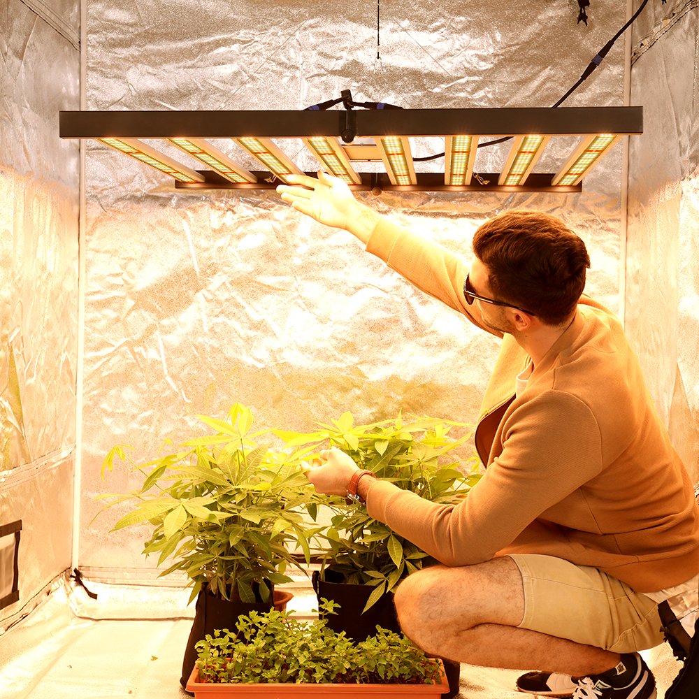 2022 Best Dimmable LED Folding Grow Light 600W for Commercial Cultivation Vertical Farming Hydroponic Light Samsung Lm301h Evo