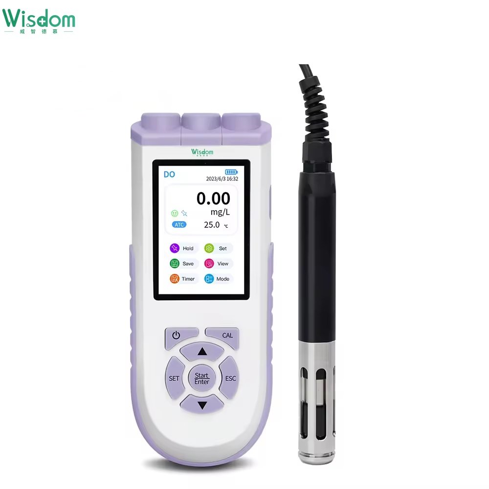 WISDOM DPH 10 Portable PH Meter Digital 3.5-inch TFT Display Laboratory PH Meter For Soil