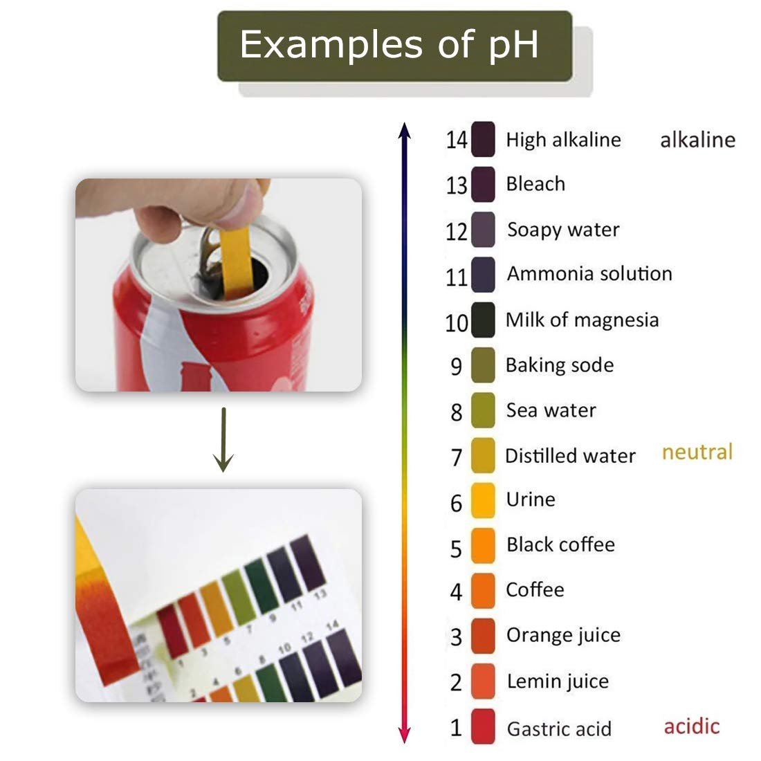 Factory Quick PH Test Strips Saliva Urine Water Soil Pool Tank Testing Full Range 1-14 PH Meter lab PH Test Paper Strip