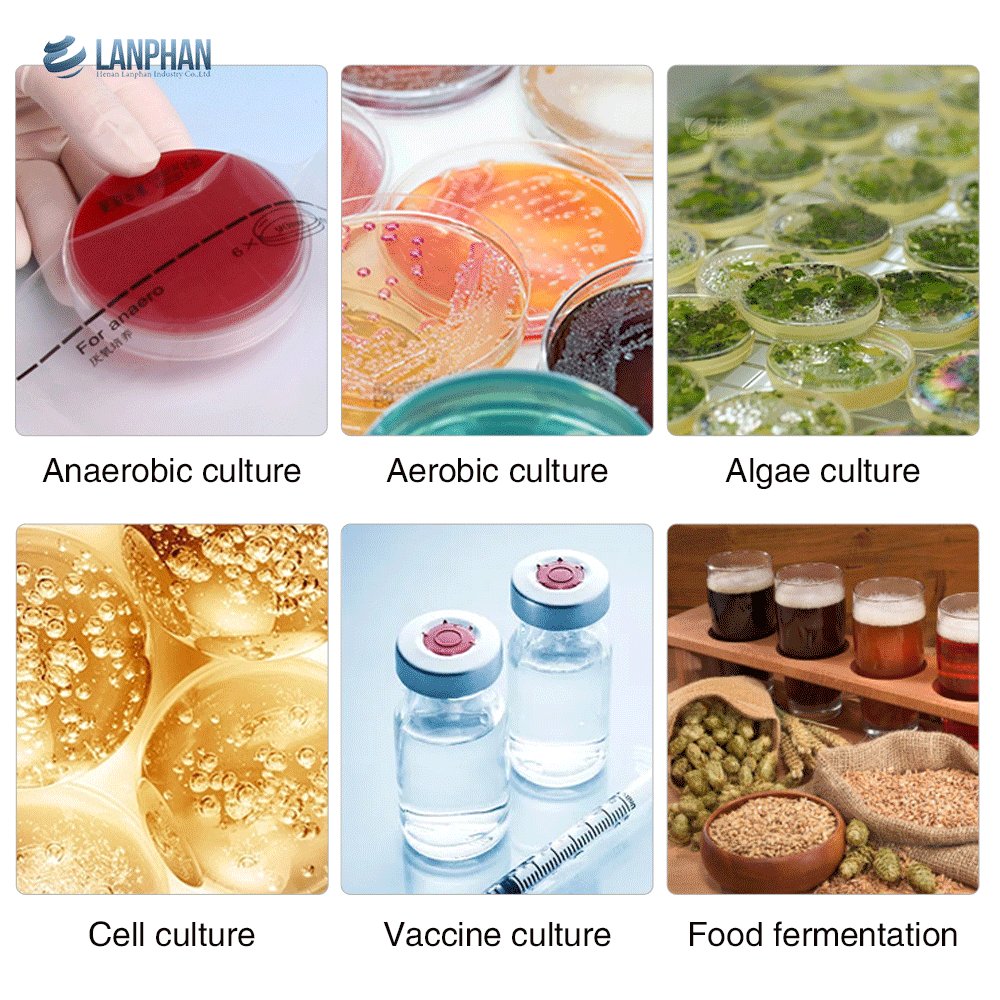 Industrial Bacterial Bioreactor Ph Meter Sensor Tissue Culture E Coli Fermentation Bioreactors