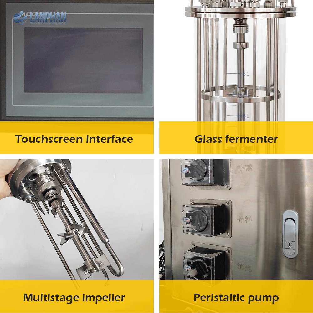 Laboratory Small Mini DO PH Meter Sensor Gmp Production Standard Algae Photo Bioreactor 3L 5L 10L Price