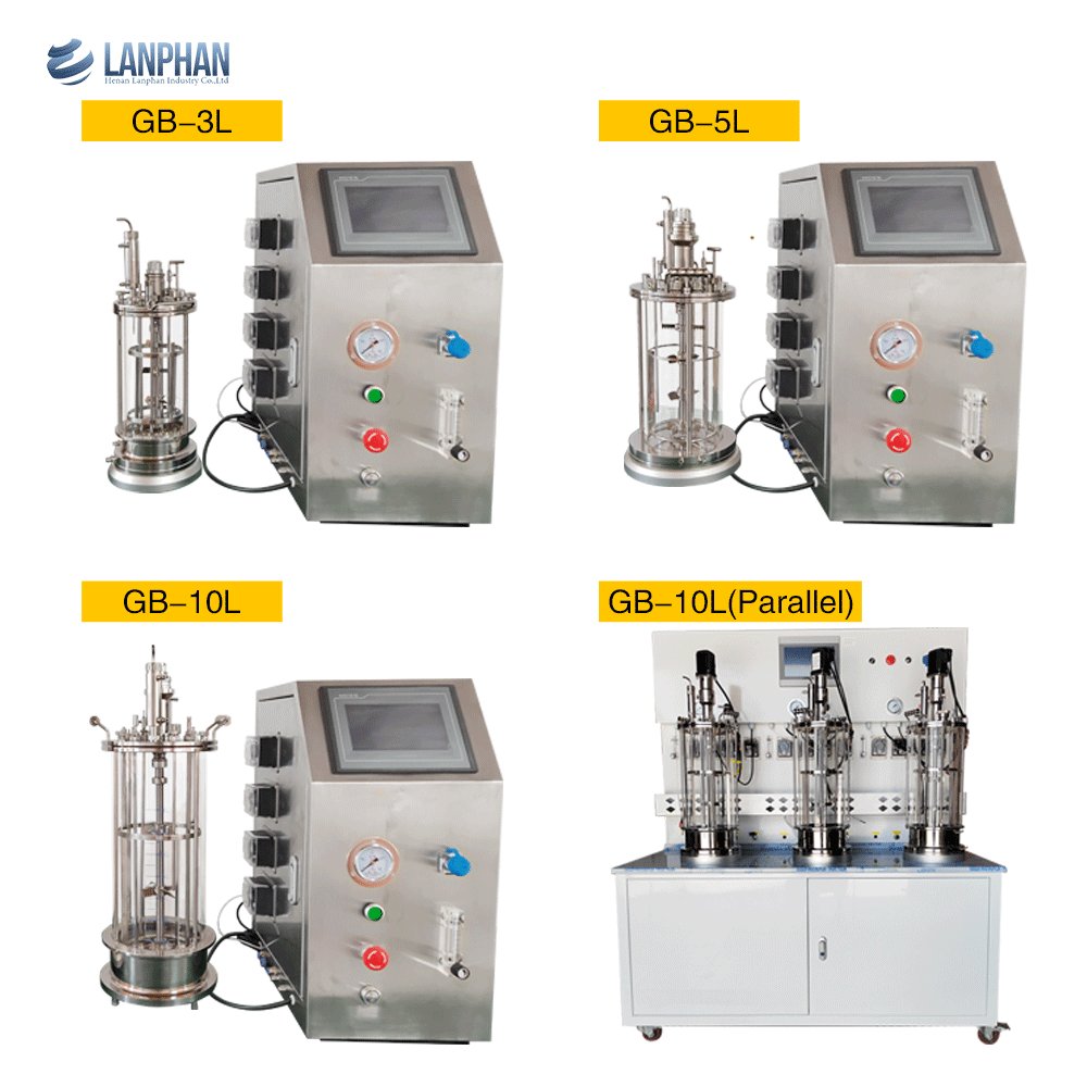Laboratory Small Mini DO PH Meter Sensor Gmp Production Standard Algae Photo Bioreactor 3L 5L 10L Price