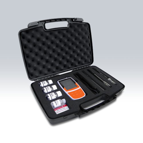 Multiparameter Water Quality Meter Soil pH Meter Tester Bante900P Conductivity Do Meter For Orp Ion Tds Salinity Resistivity