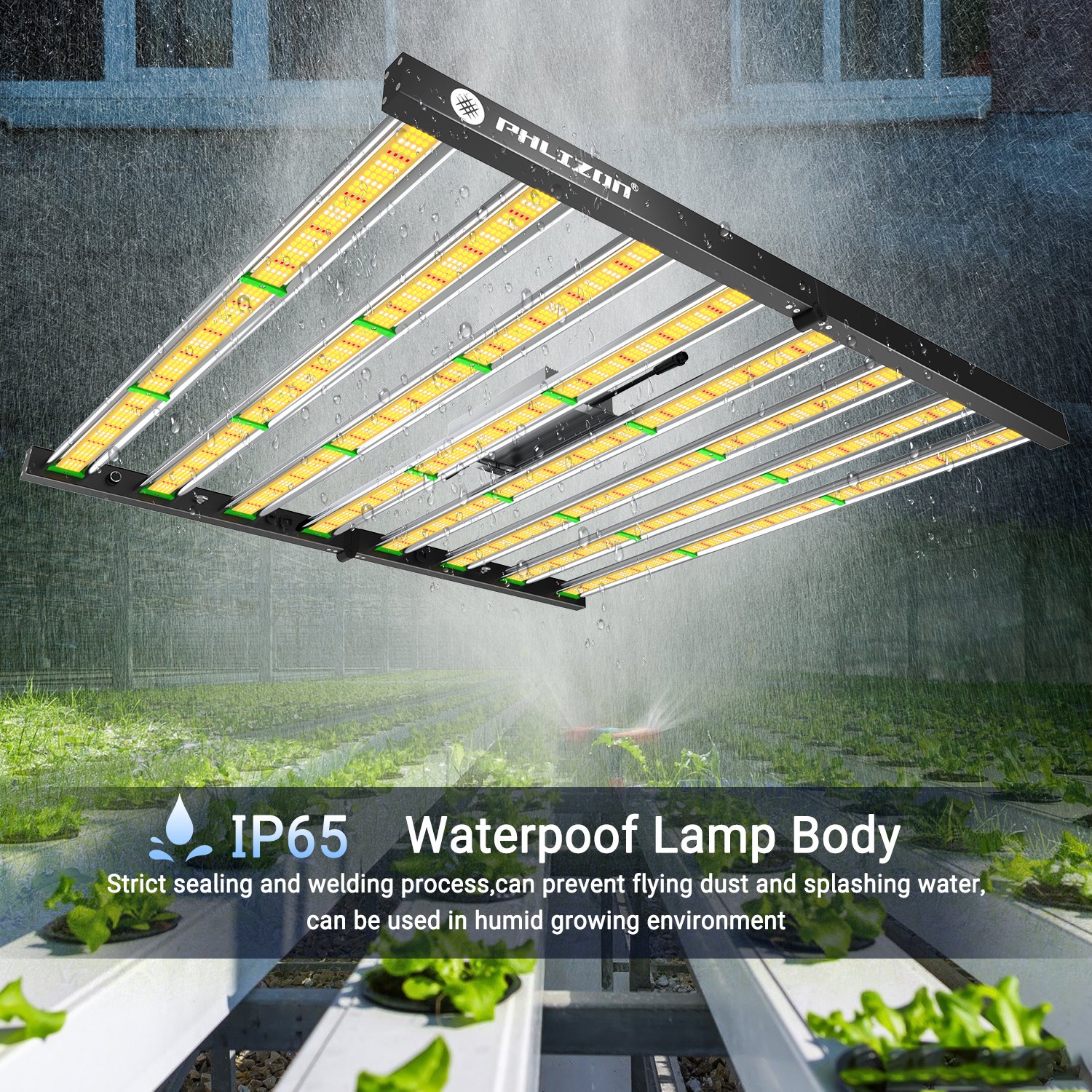 Phlizon lm301h evo mint 800w full spectrum led grow light IP65 indoor led grow light blue red 800 watt led grow