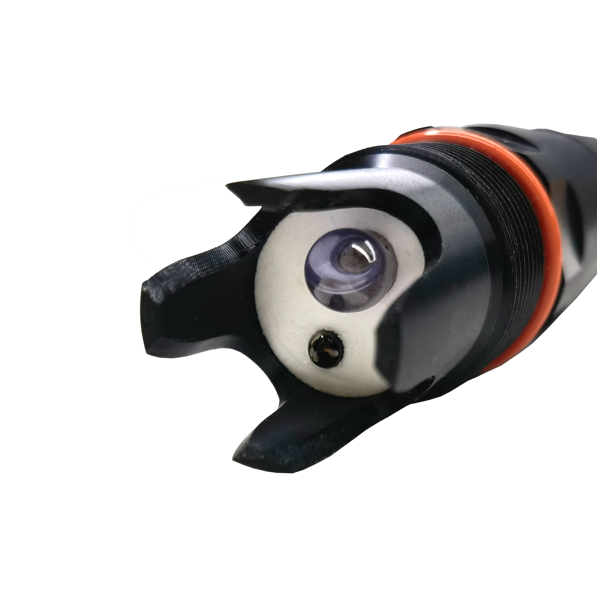 BGT CE Industrial RS485 4-20mA Online River Swimming Pool Sewage Aquaculture Analysis Water Quality PH Sensor