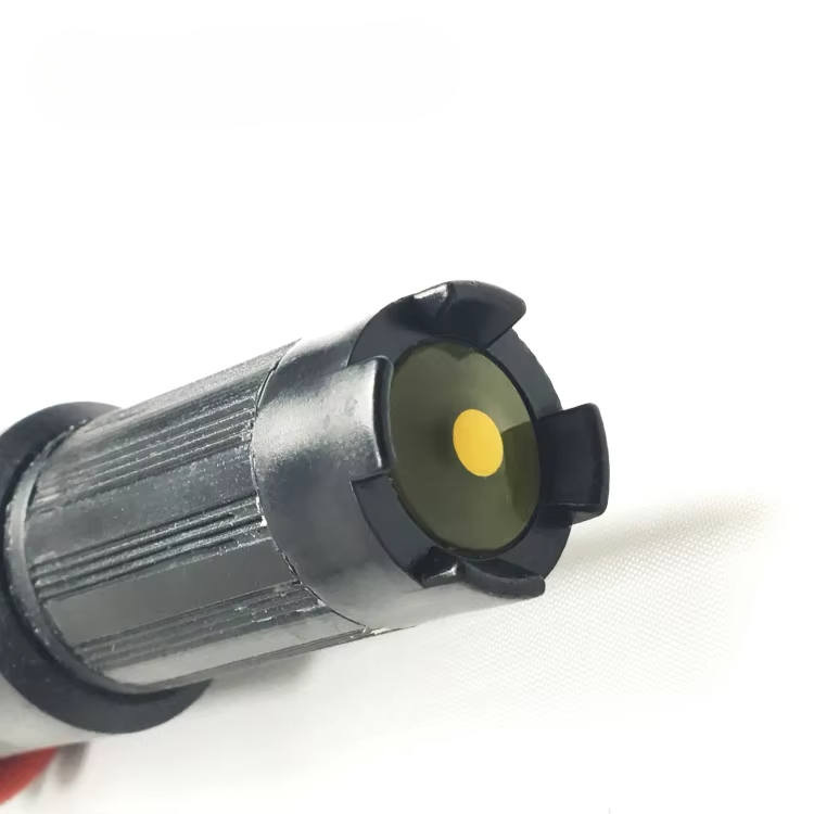 Residual Chlorine Probe Analog Output Free Chlorine Sensor For Swimming Pool Hypochlorous Acid HOCl Test Chlorine Residual