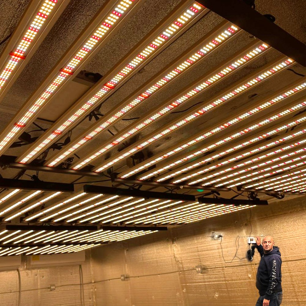 1000w Led Grow Lights for Indoors