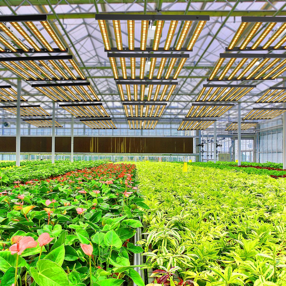 Best Selling Phlizon Full Spectrum LED GROW LIGHT 640W 800W Fold 8 bars Hydroponics Horticulture Indoor Pla nts US Inventory