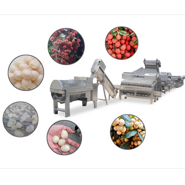 Fully Automatic Button Mushroom Canning Machine Production Line Process Mushroom Production Equipment