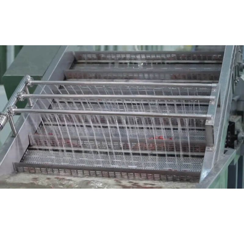 Fully Automatic Button Mushroom Canning Machine Production Line Process Mushroom Production Equipment