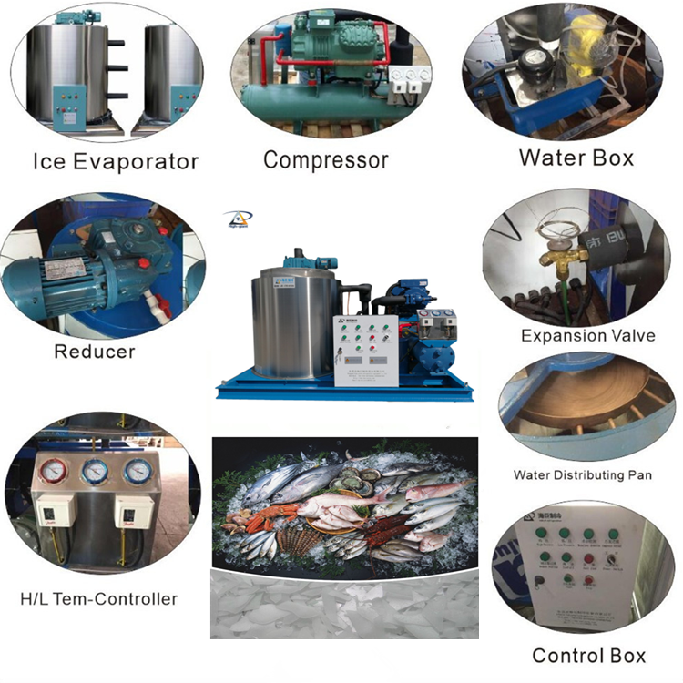 Small Ice Flake Making Machine Commercial Industrial Ice Maker Fresh Sea Water Flake Ice Machine Provided Stainless Steel 304