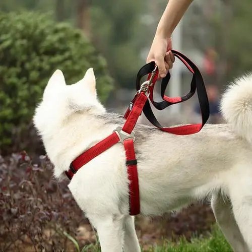 QS-1900AJDC schoolbag rope band rolled bartacking sewing machine Sportswear pants Pet belt rope making machine tape bartacking