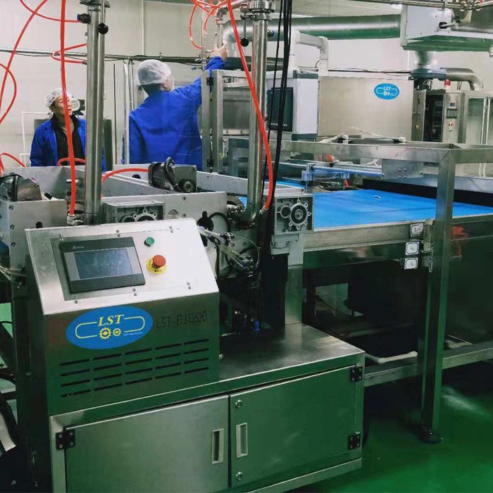 Fully Automatic Chocolate Chips Depositing Machine for sale