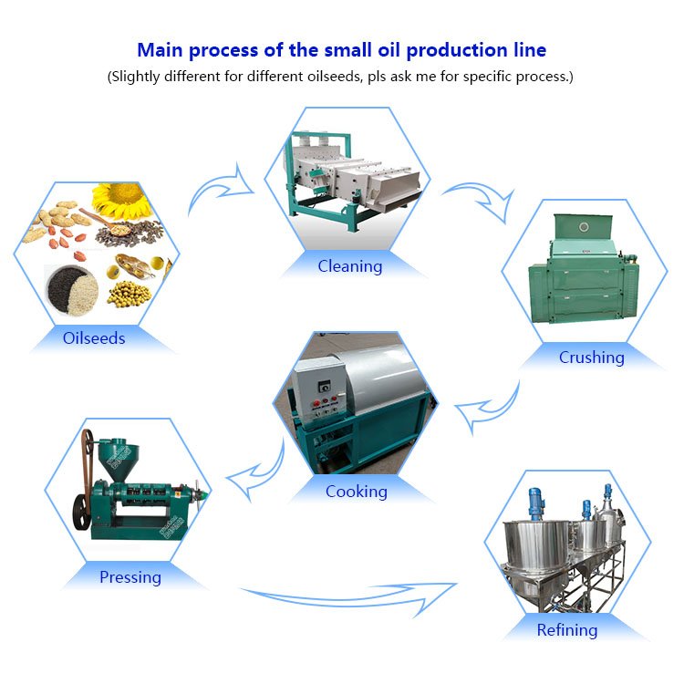 factory price customizable Multifunctional sesame soybean rapeseed plant cooking oil production making machine