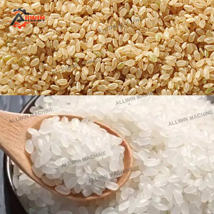 1000kg Per Hour Medium Size Rice Mill Maize and Rice Milling Machine Steel Plate Mobile Diesel Engine Rice Mill Scale