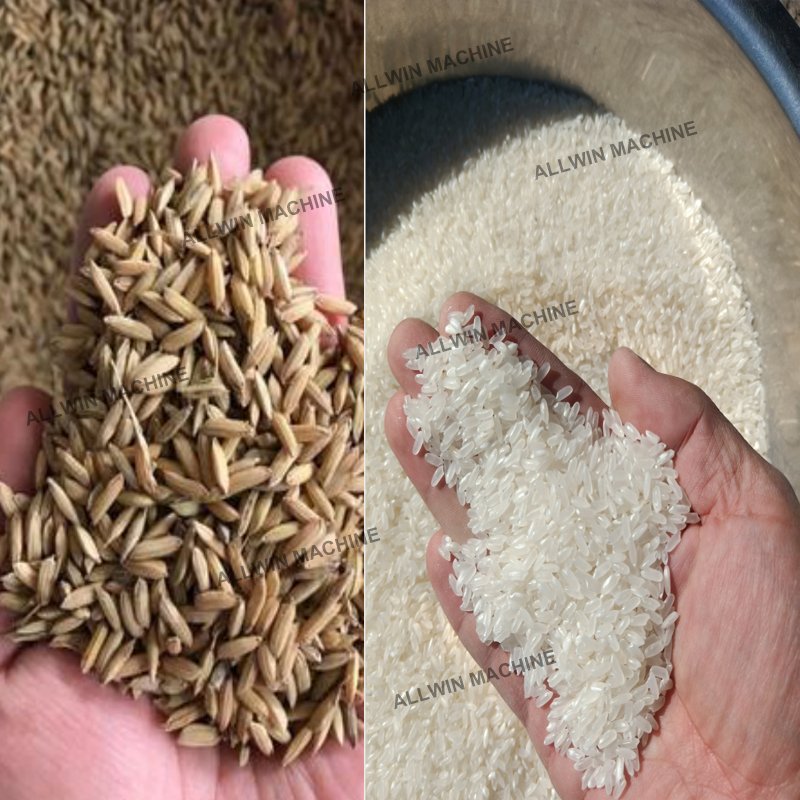 Commercial rice mill production line complete set of combination rice miller / hot sales in South Africa and Southeast Asia