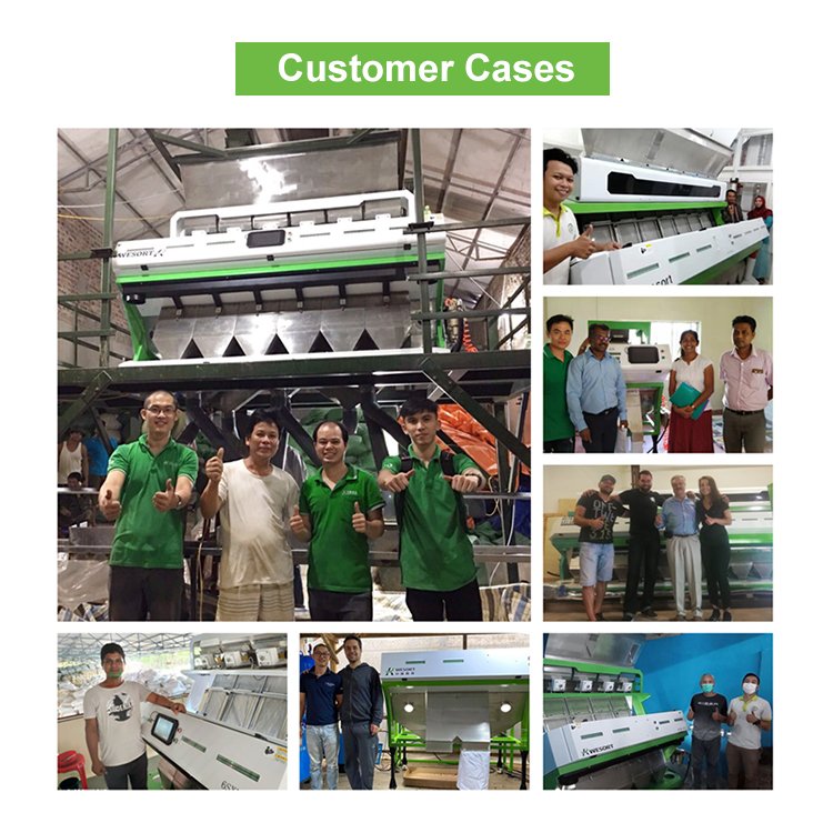 Wesort Rice Color Sorter Small Mini Rice Milling Machine Plant Portable Complete Set Combined Spare Parts Price Of Rice Mill