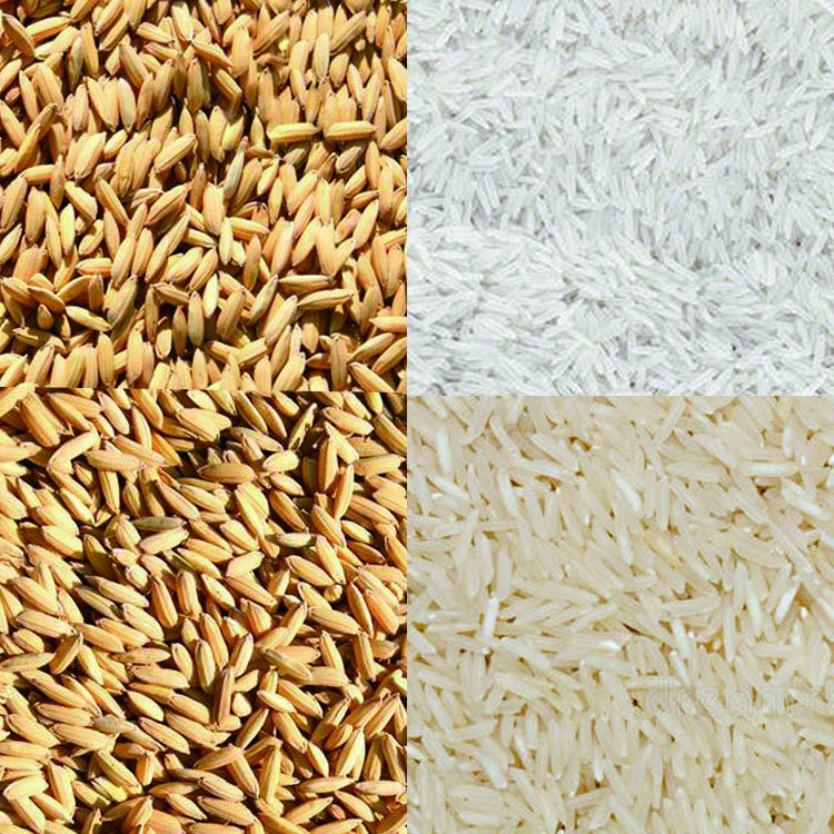 Modern High Quality rice milling machine/rice mill plant machine