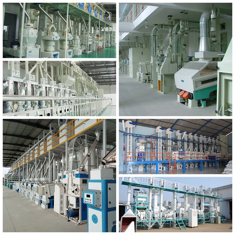 MNMF25*2 Double-roller Rice Whitener and Polisher Agriculture Machine Rice Mill Grinding 7-8T/H / Production Capacity