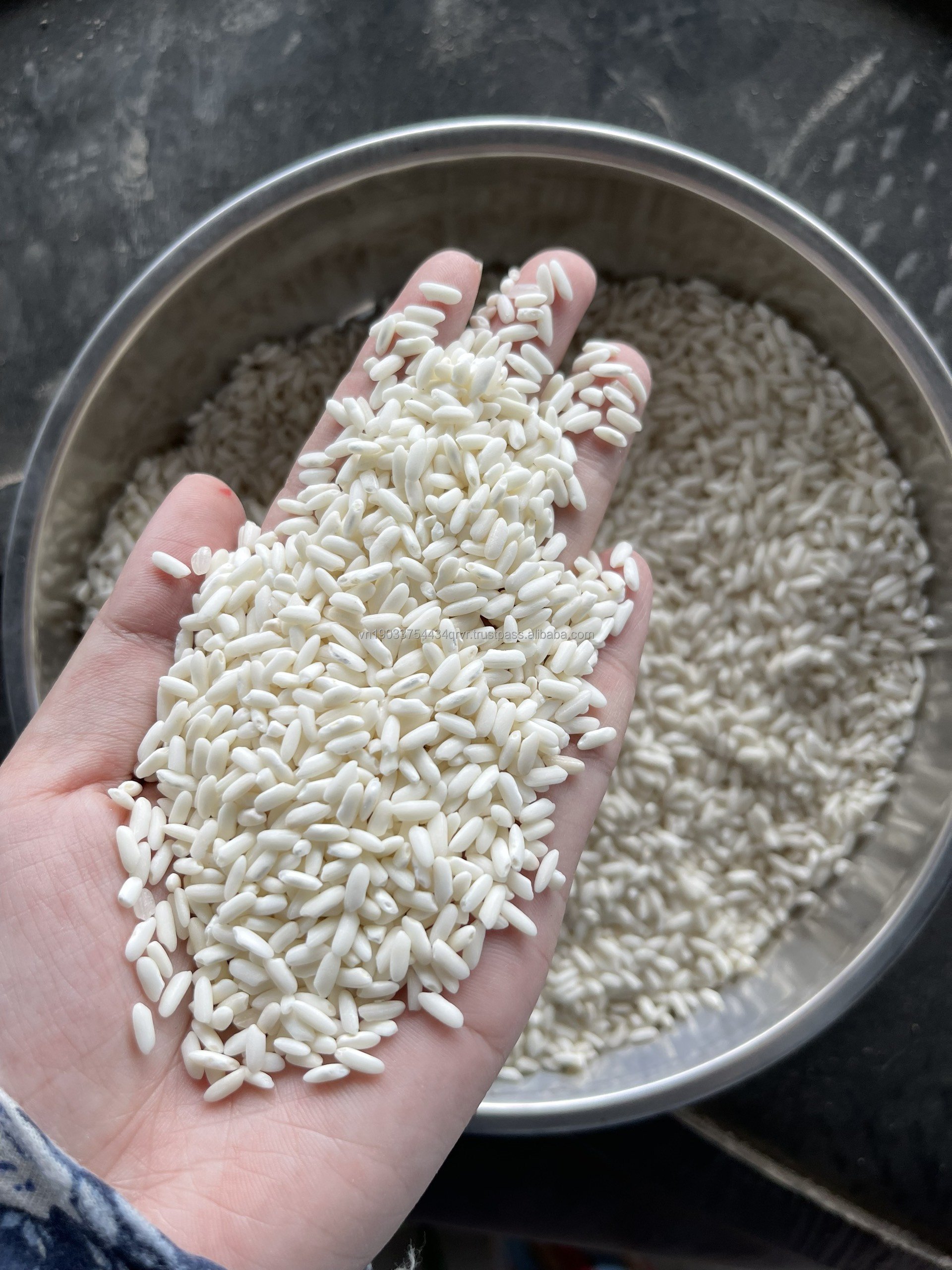 Glutinous/Sticky/Sweet Rice - Cheap Price From South Mekong Rice Miller/ Glutinous rice Vietnam- WA84786436556
