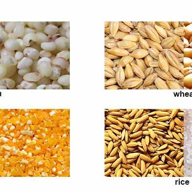 Hot sale rice milling machine combined equipment rice mill milling machine