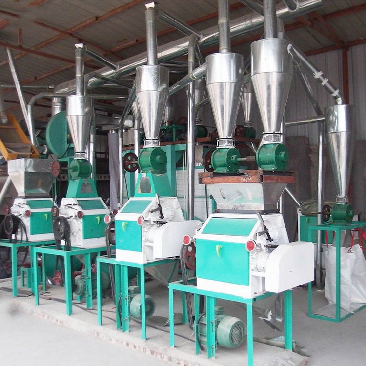 Grade 1 Sifted Mini Maize Miller Per Day 10 Tons Wheat Flour Milling Machine