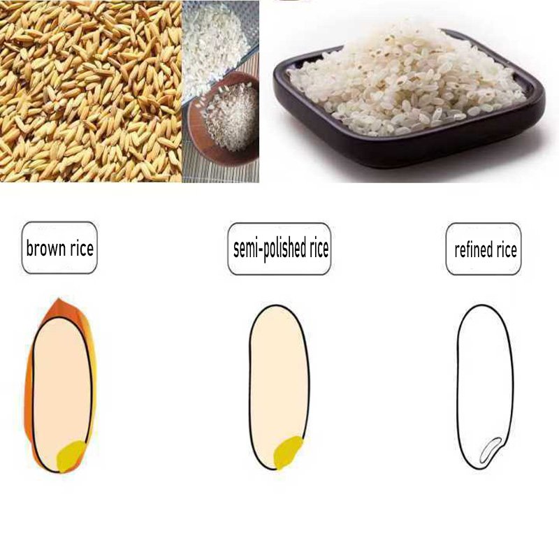 Mini Rice Milling Machine Home Use Rice Mill Electric Intelligent Automatic Germ Rice Husking Miller Polisher Machinery