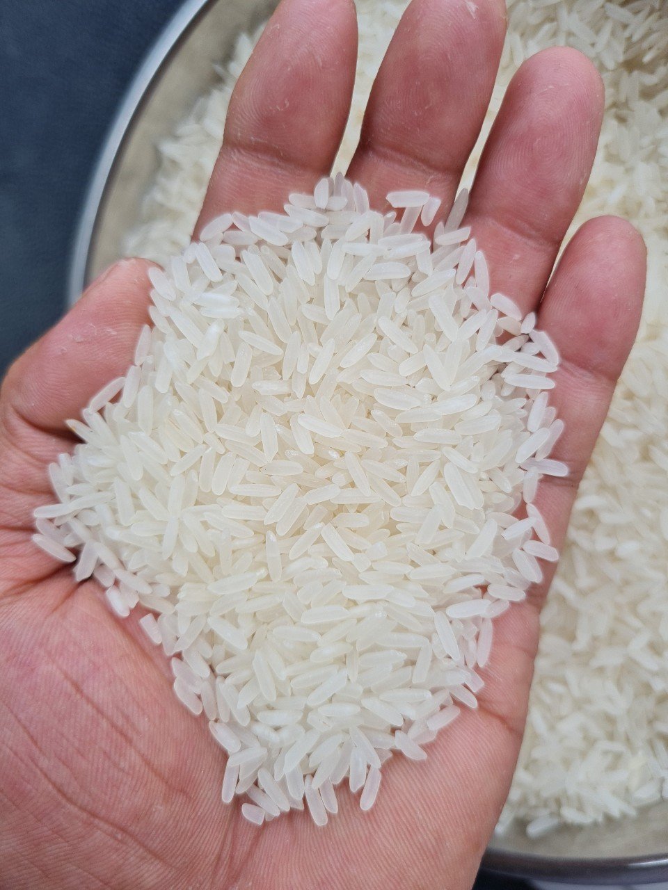 RIZ AU JASMIN-JASMINE RICE FROM VIETNAM (Whatsapp: +84 925010702 Ms.Ellen)