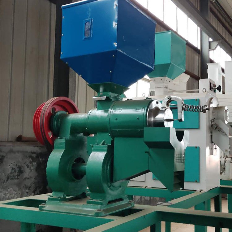 China professional rice mill machine/rice polishing machine/rice mill with durable use