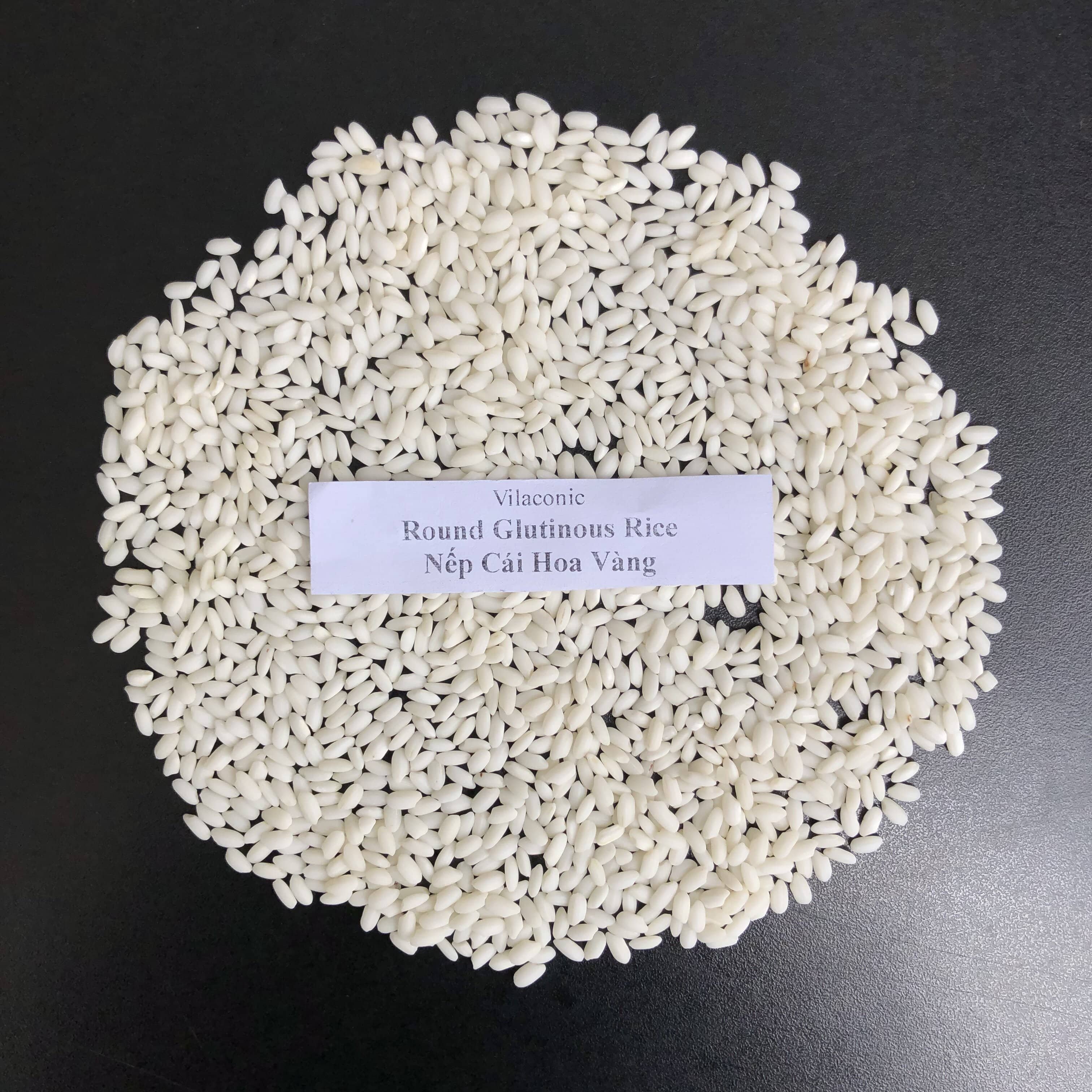 Finest Vietnam Glutinous Rice: Sticky Perfectly Long Grain Expertly Processed by Villaconic Rice Miller (WA: +84339249239)