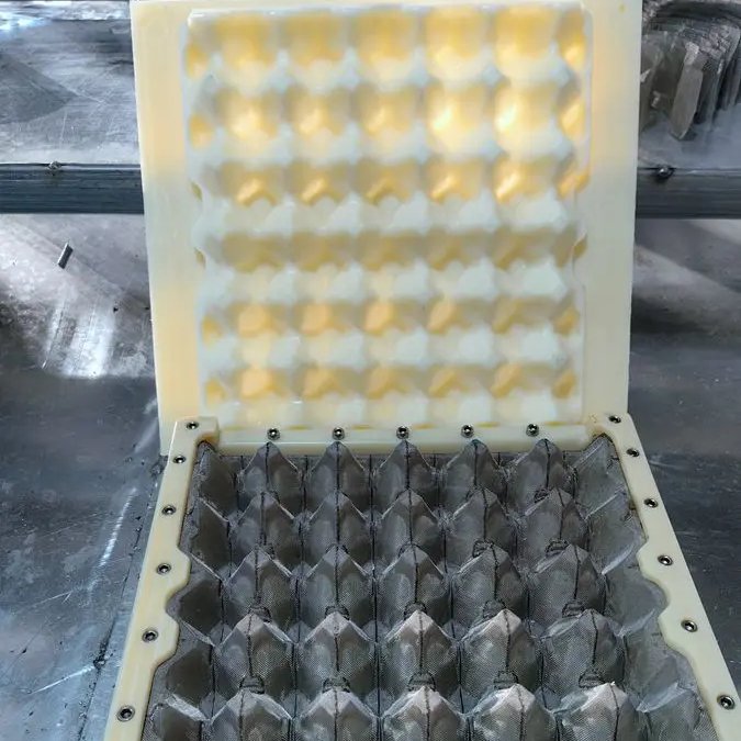 Factory price ABS plastic aluminum egg tray mould