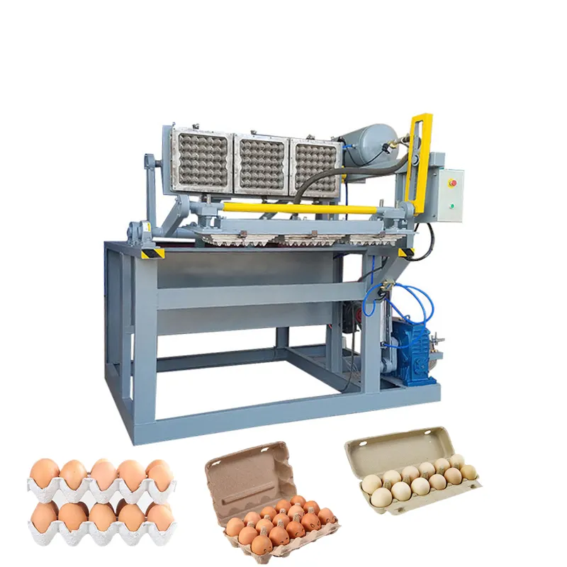 Zengtuo 2024 Small Business 1x3 Paper Pulp Egg Tray Making Machine make Egg Trays Egg Box