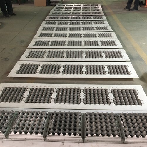 Professional factory plastic egg tray/support injection mould