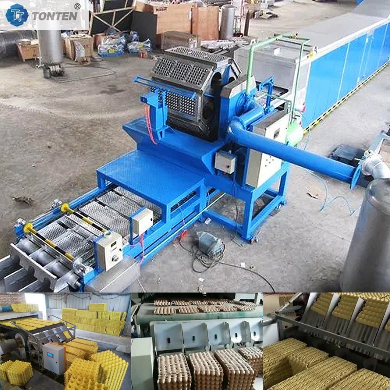 Egg Tray Making Machine Price Pulp Molding Tray Making Machine Manufacturer