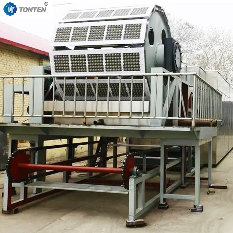Egg Tray Making Machine Price Pulp Molding Tray Making Machine Manufacturer